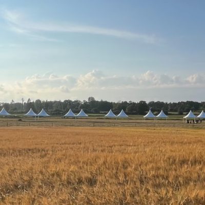 Hyra tältlösning Scouterna 2025 Repris