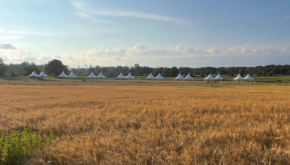Hyra_tältlösning_scouterna_repris_2025